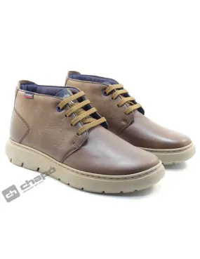 Botines Marron Callaghan 60601