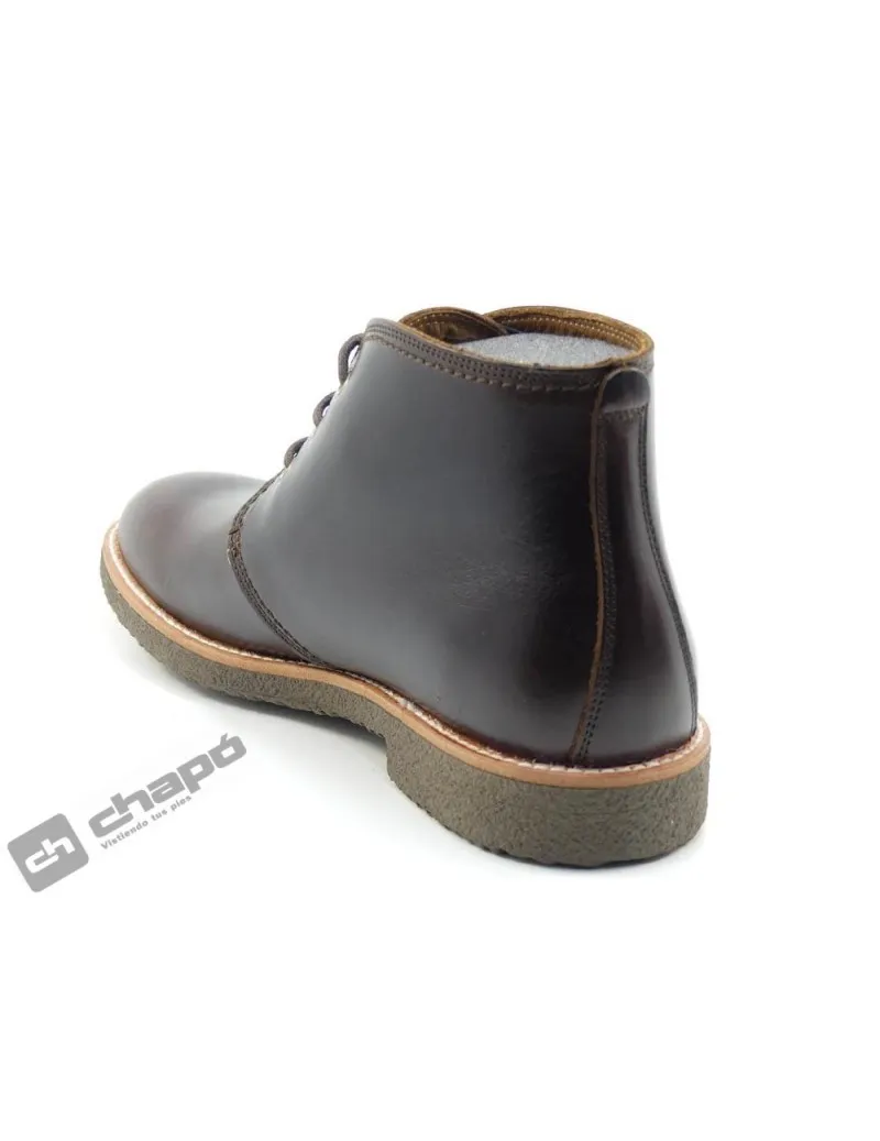 Botines Marron Panama Jack Gael