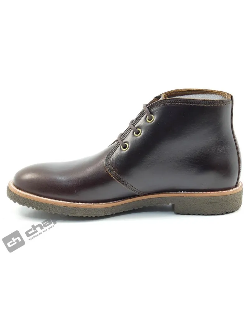 Botines Marron Panama Jack Gael