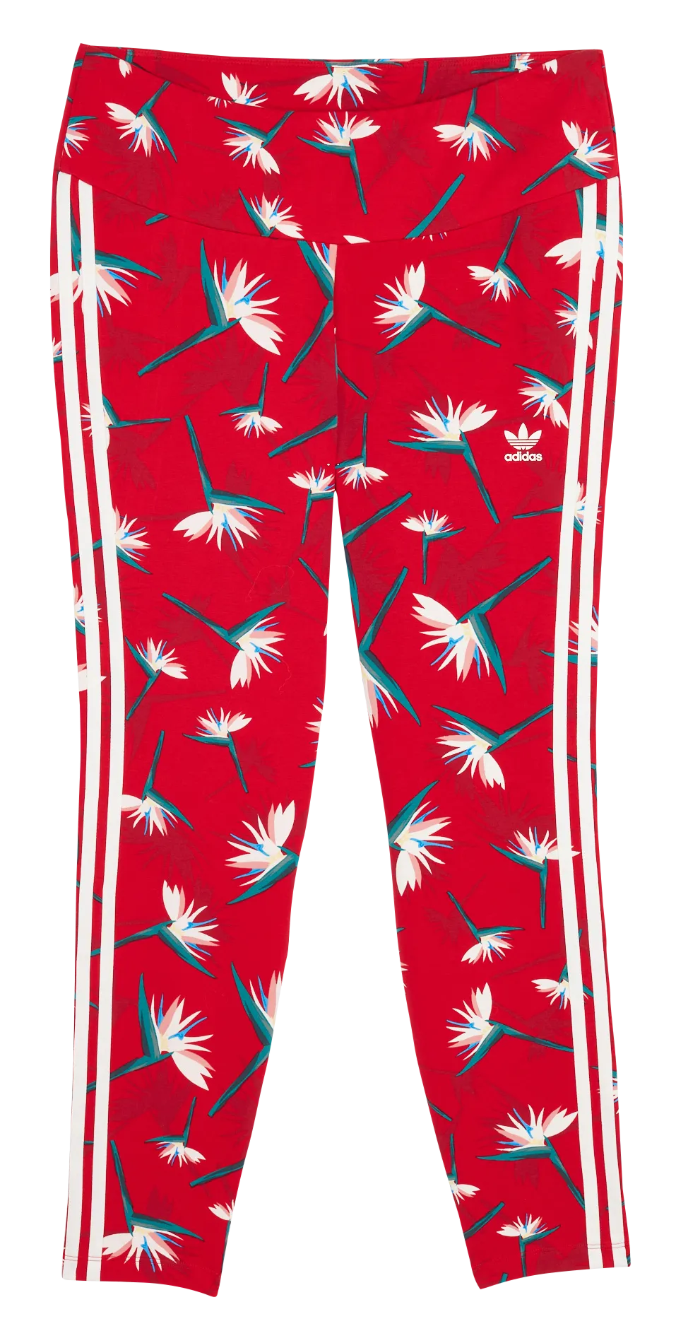 Legging de algodón estampado en rojo