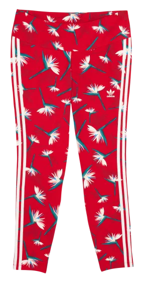 Legging de algodón estampado en rojo